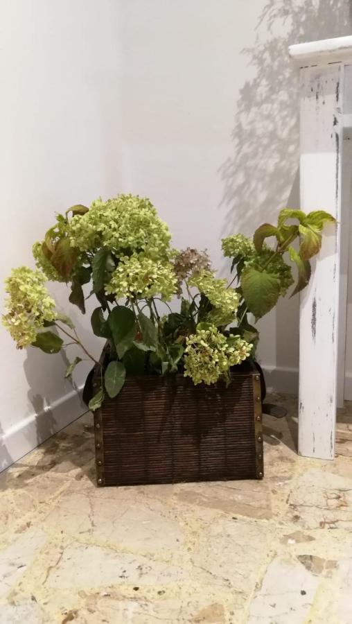 Bed and Breakfast Good Morning Shopping Serravalle Scrivia Zewnętrze zdjęcie